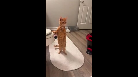 You could watch this forever!