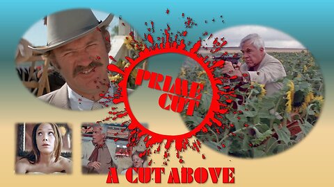 Prime Cut - A Cut Above