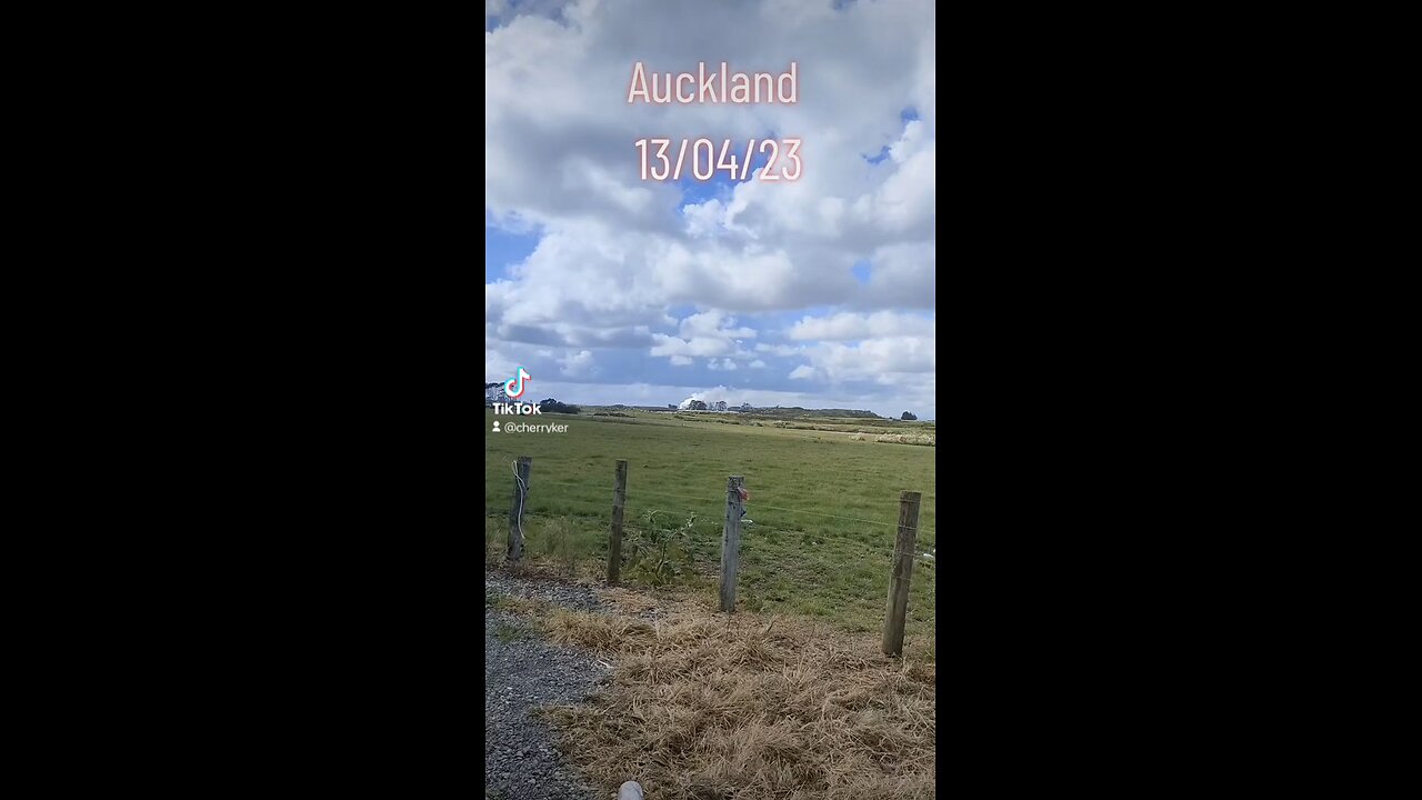 Auckland Weather News