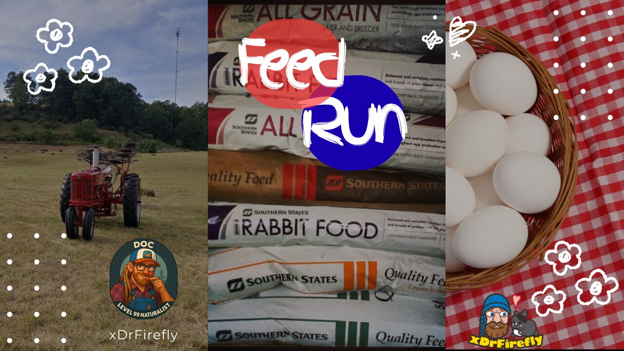 The Feed Run | Afternoon Chat w/ Doc