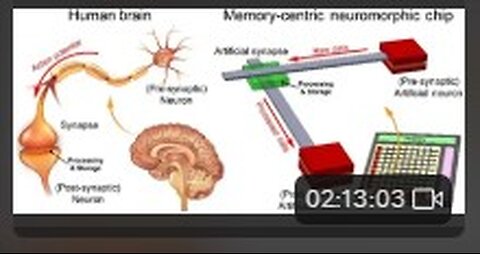 Quasispecies & Neuromodulation for Good!