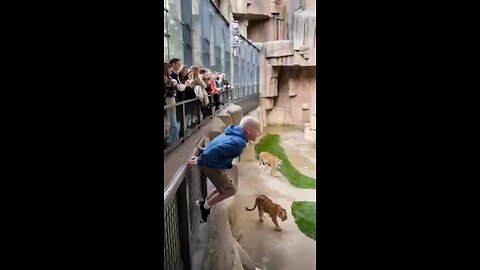 Child_Falls_into_Tiger_Enclosure!_#animal_#amazing_#tiger