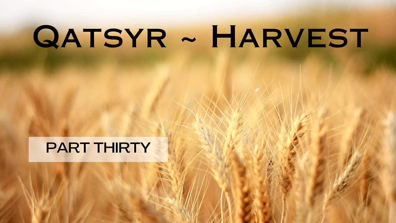 Qatsyr ~ Harvest Part Thirty 14 March 2025