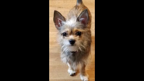 My Baby Baby!