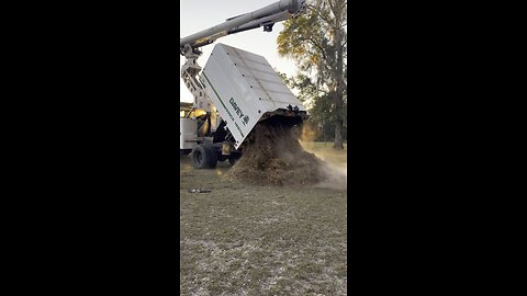 How to never buy mulch again