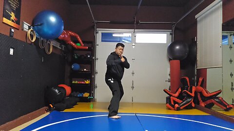 WTD 2 Step Kick Combination 110