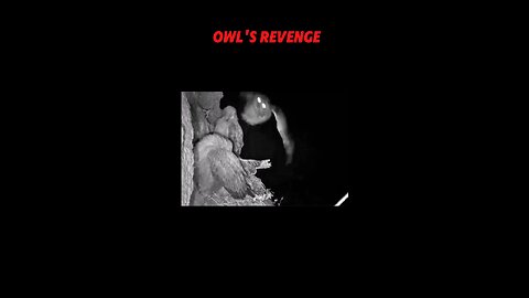 #Revenge🔥