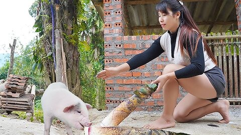 Picking bamboo shoots to cook for piglets and how to make dried fish to preserve