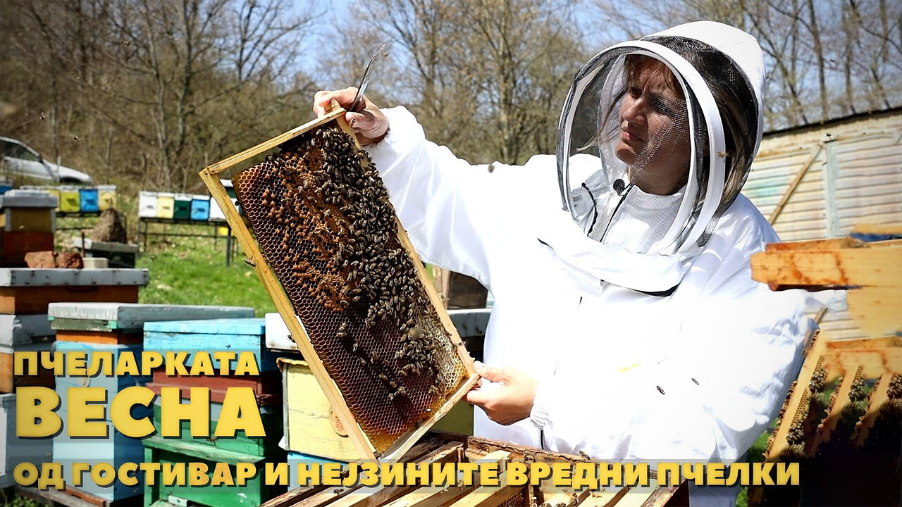 Пчеларката Весна од Гостивар и нејзините вредни пчелки