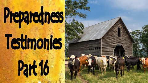Preparedness Testimonies Part 16