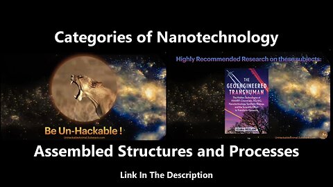 Categories of Nanotechnology - Assembled Structures and Processes