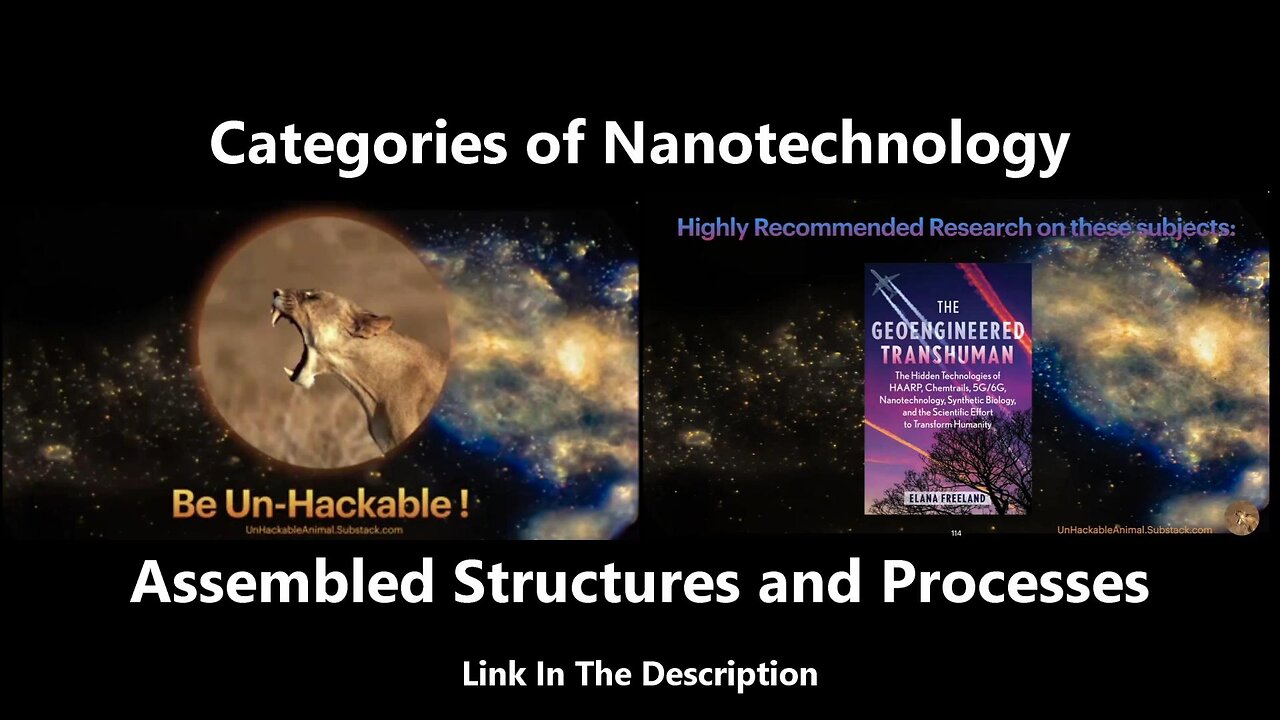 Categories of Nanotechnology - Assembled Structures and Processes