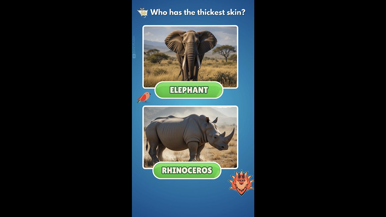 Which animal has Thicker skin?🦏🐘 #quiz #trivia #gkquiz #quizchallenge #quiztime