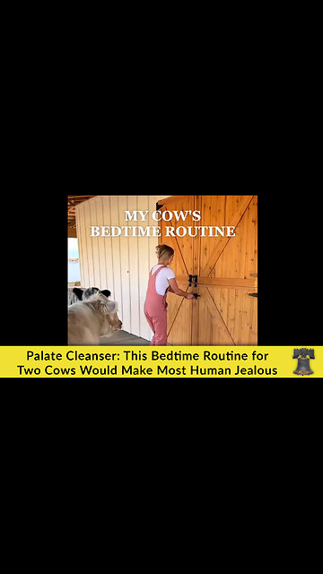 Palate Cleanser: This Bedtime Routine for Two Cows Would Make Most Human Jealous