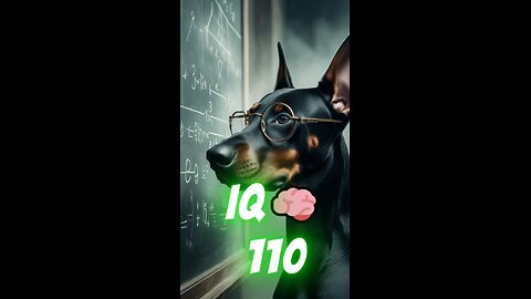 SMARTEST DOG BREED 🧠 | Doberman vs German