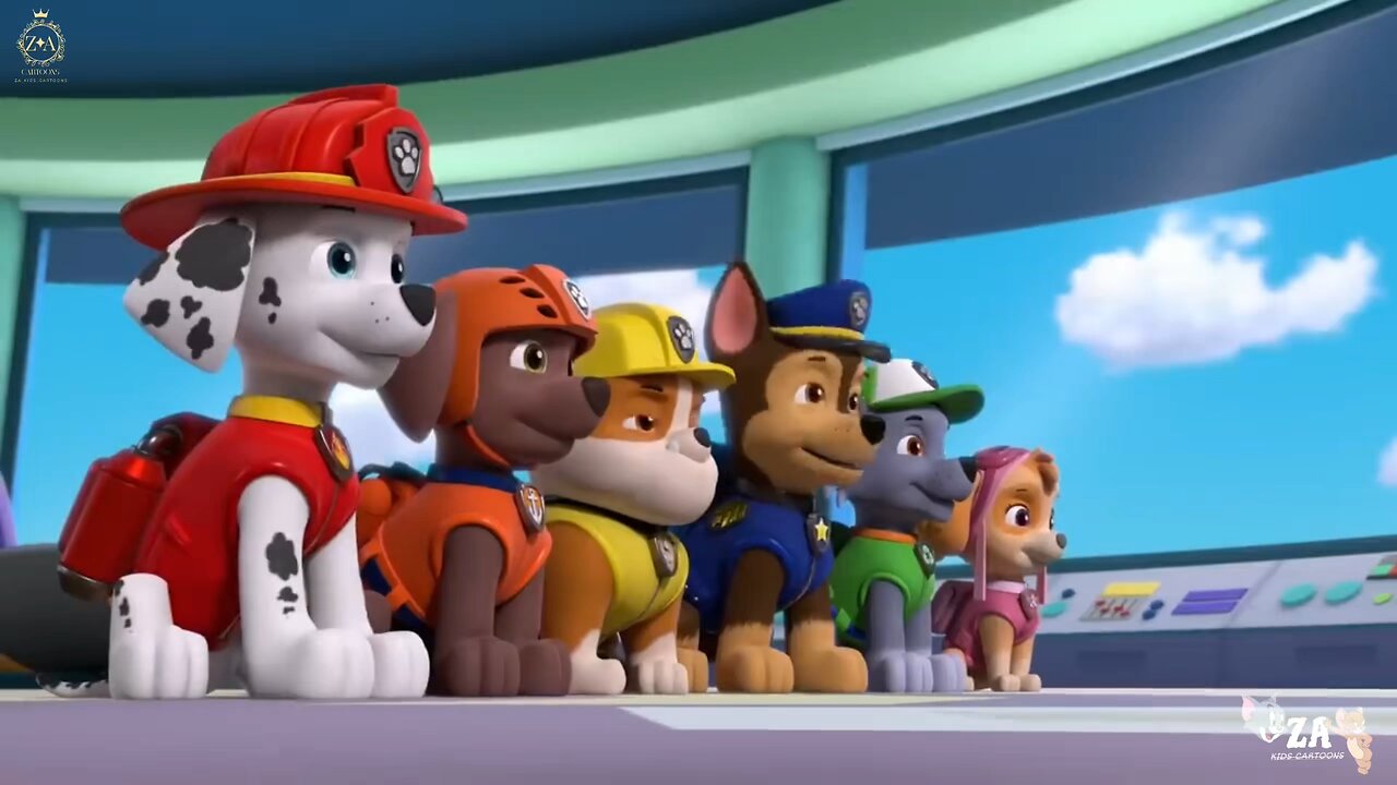 PAW Patrol Cartoons