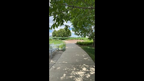 A beautiful day to go for a walk at the park