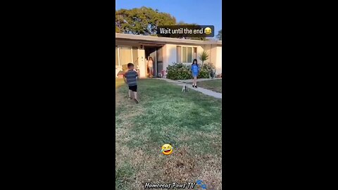 When Animals Try to Act Cool… and Fail!