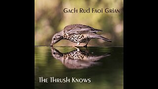 Song: The Thrush Knows by Gach Rud Faoi Grian