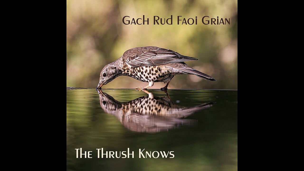 Song: The Thrush Knows by Gach Rud Faoi Grian