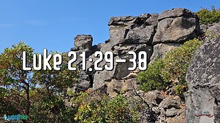 Luke 21:29-38, Bible Reading in Nature, BSB