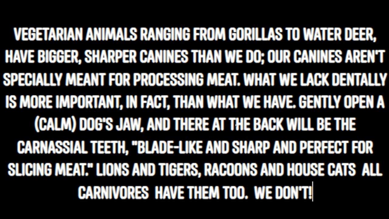PINEAL GLAND INFECTED VEGAN DEATH KILL CULTS ATTACK MATRTHA'S VINEYARDS FORCING PEOPLE TO GO VEGAN #ResearchFlattardEarth