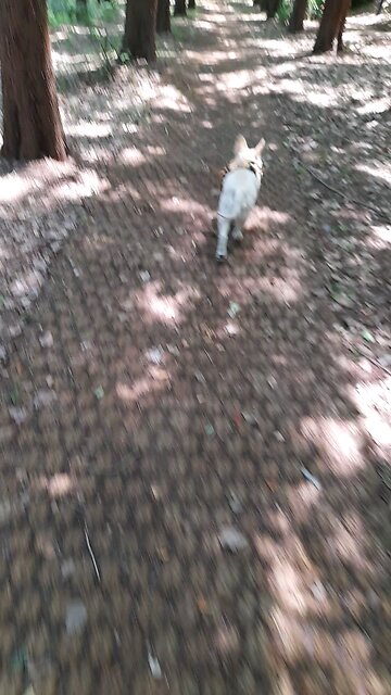 250606. My LORD. Jesus christ.