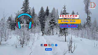 Skogpod 8. februar 2026