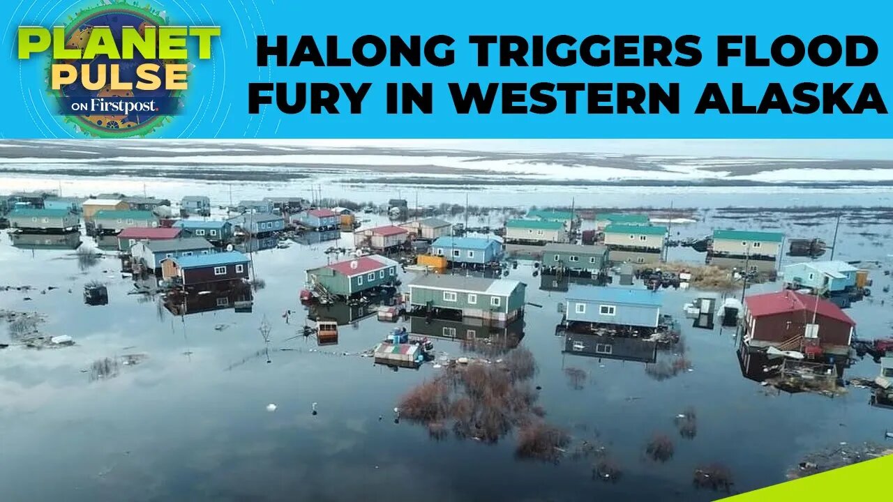 Typhoon Halong Unleashes Flood Fury in Western Alaska, Homes Swept Away | Planet Pulse | N18G