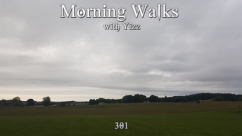 Morning Walks with Yizz 301