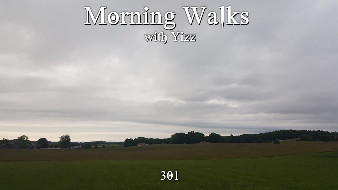 Morning Walks with Yizz 301