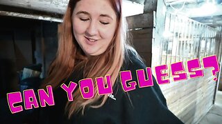 SURPRISE! New ANIMAL In The GOAT Barn!
