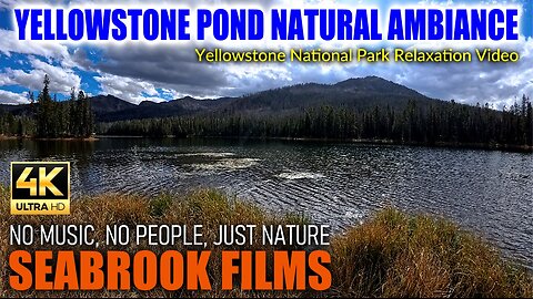 Yellowstone Pond Natural Ambiance: Yellowstone National Park Relaxation Video
