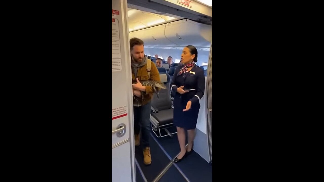 Emotional support alligator