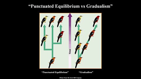 Punctuated Equilibrium