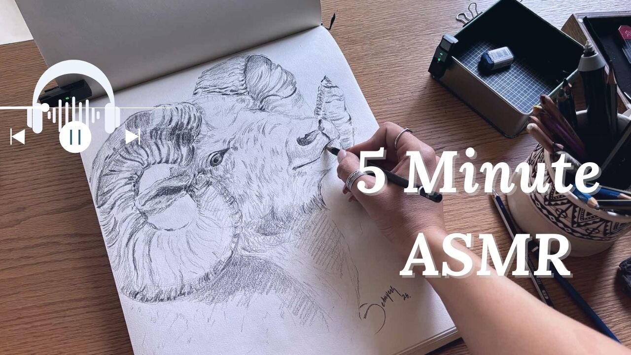 5-Minute ASMR | Charcoal Mountain Goat Sketch