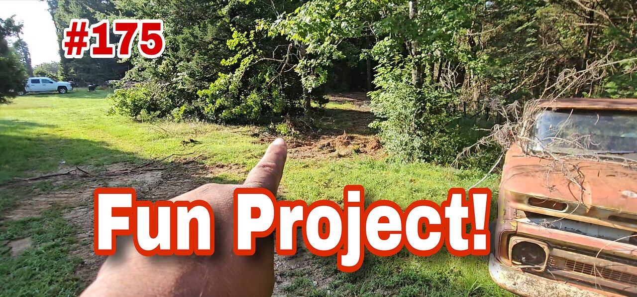 Clearing Off The Old Homestead ‼️