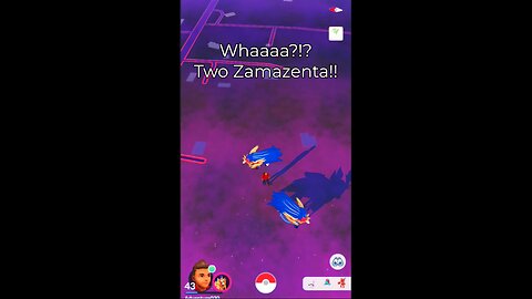 Legendary Zamazenta in the Wild!? No Way!!