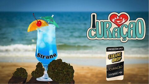 Strane Curacao Flower Review