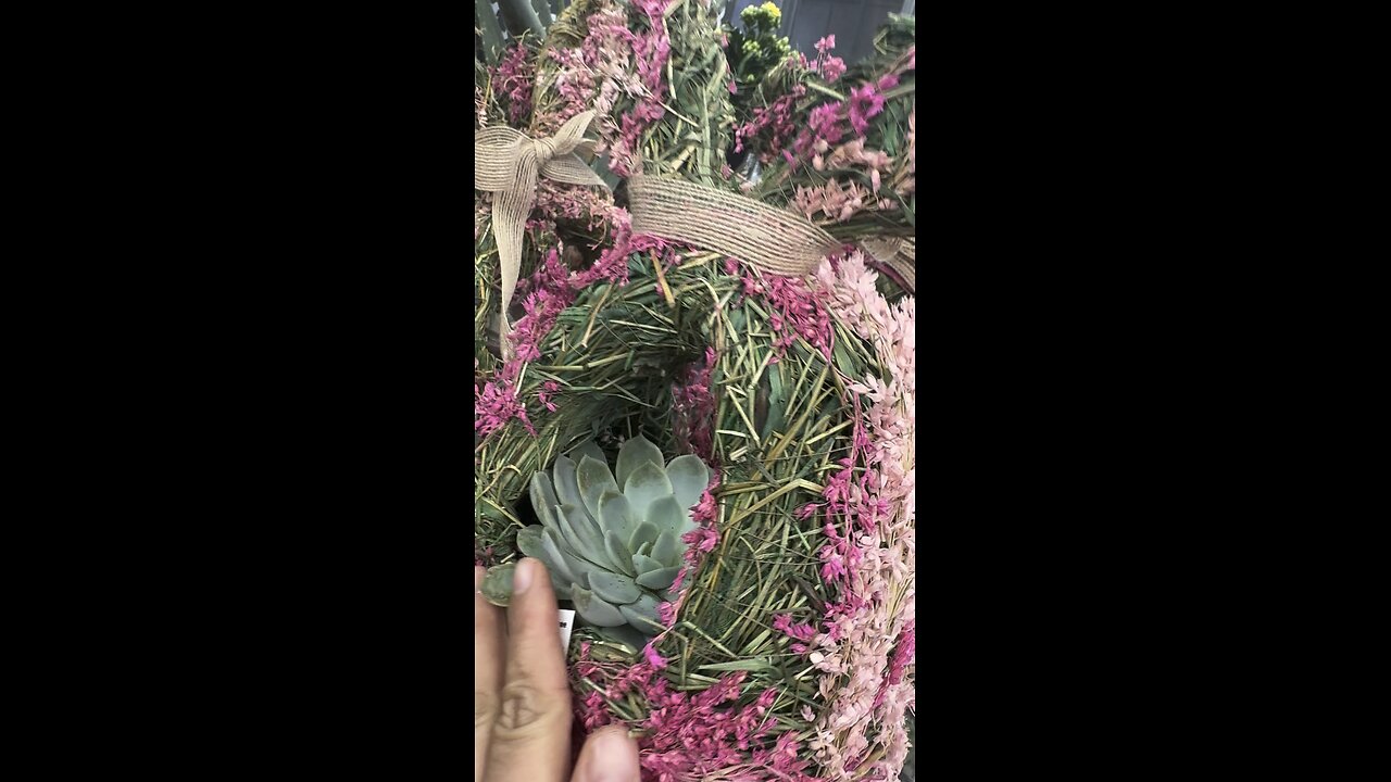 Succulents