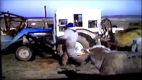 Vintage Machine Feeding Round Bales 1968 Ford Tractor