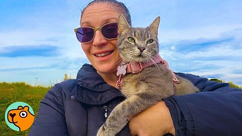 Cat Jumped Into Her Car and Never Looked Back | Cuddle Buddies