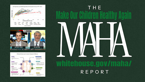 The MAHA Report (Del Bigtree & Jefferey Jaxen)