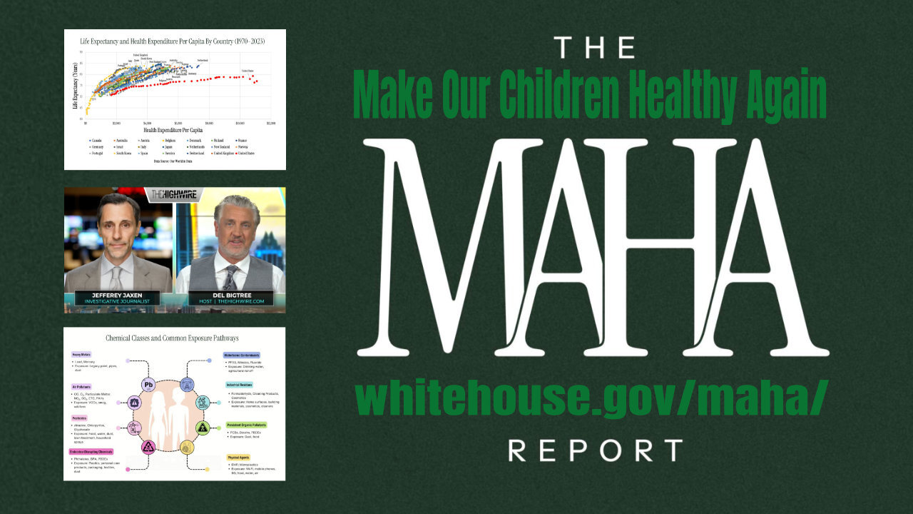 The MAHA Report (Del Bigtree & Jefferey Jaxen)