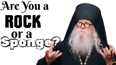 Are You a Rock or a Sponge?