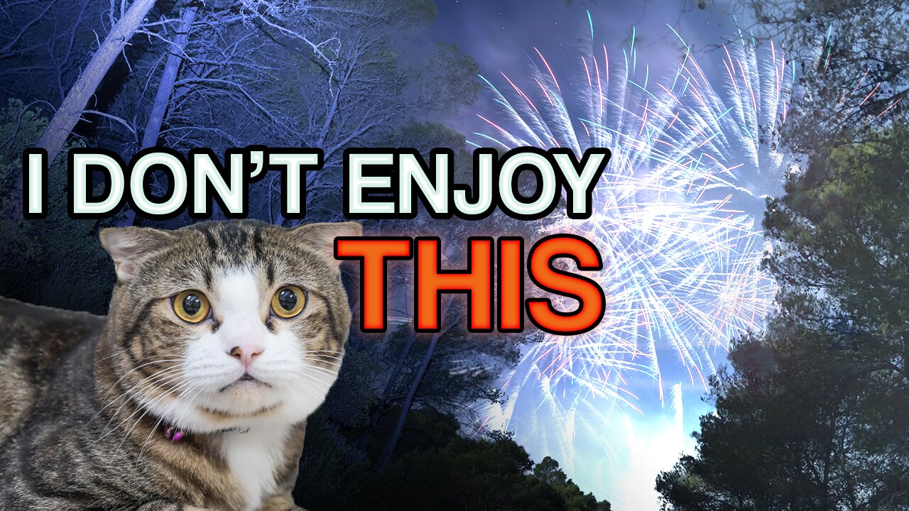 Various Topics 2 - Read on 7 November 2025 #tarotreading