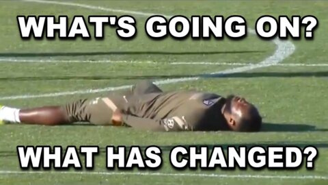 [Nov 10, 2021] Puppies playing with kittens [DITRH]