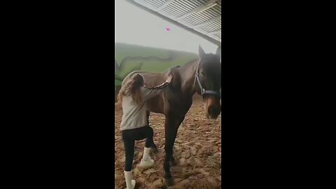 horseriding