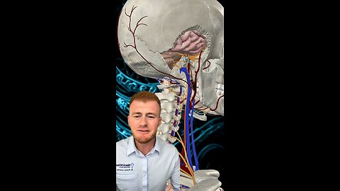 Why do I always lose my balance ? | Natural vertigo relief | Neckwise upper cervical chiropractic