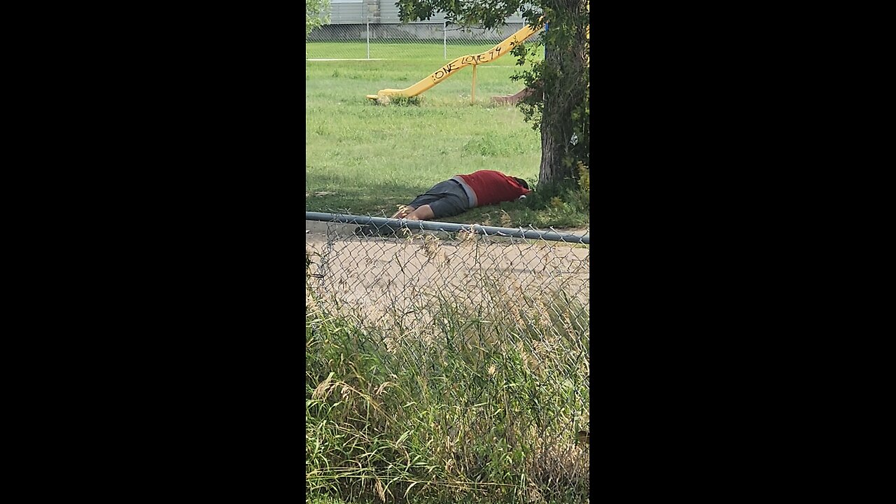 Passed Out at the Playground...Again